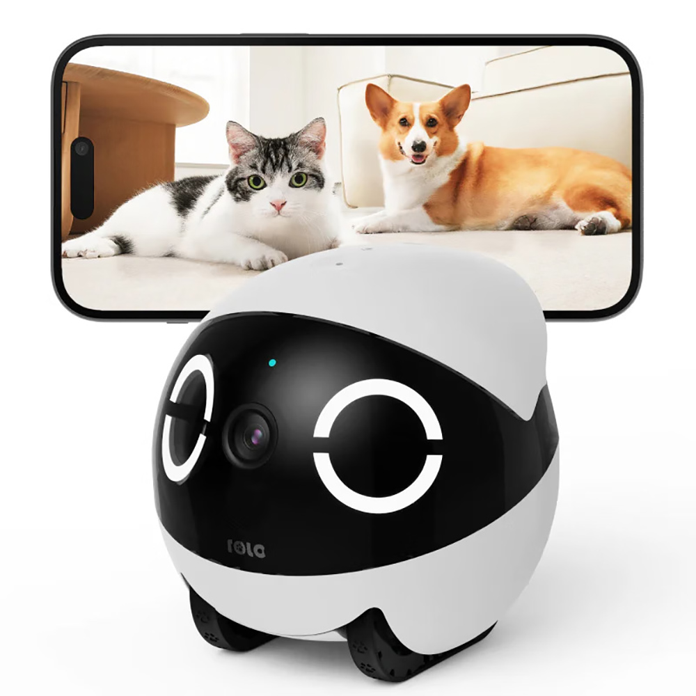 Bezpieczeństwo w domu, zabawka – Home Security Robots recenzja i cena